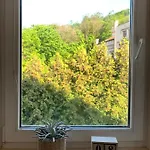 Treehouse Pensión